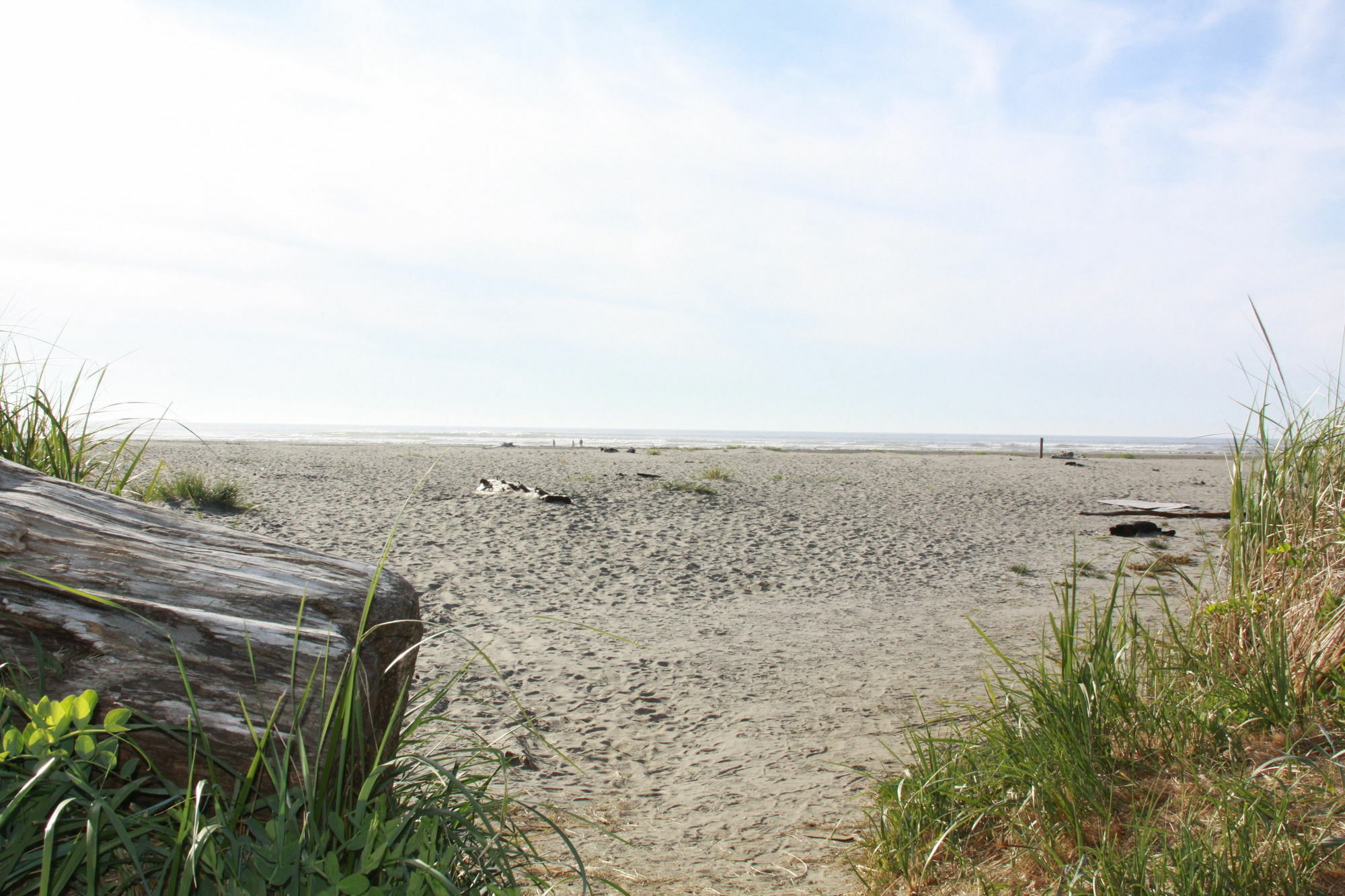 Quinault Beach Resort & Casino 오션 시티 외부 사진